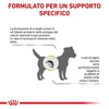 Royal Canin Urinary S/O Small Dogs Croccantini per Cani Adulti