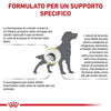 Royal Canin Urinary S/O Moderate Calorie Croccantini per Cani Adulti