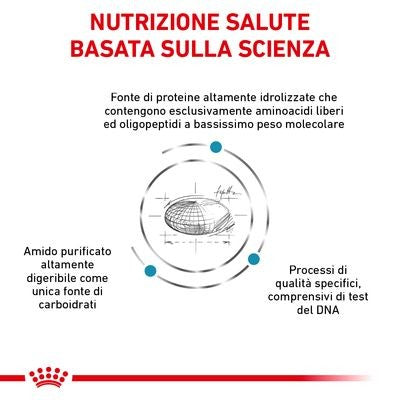 Royal Canin Anallergenic Small Dogs Croccantini per Cani Adulti