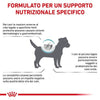 Royal Canin Anallergenic Small Dogs Croccantini per Cani Adulti