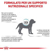 Royal Canin Hypoallergenic Puppy Croccantini per Cani Cuccioli