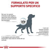 Royal Canin Hypoallergenic Moderate Calorie Croccantini per Cani Adulti