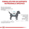 Royal Canin Hypoallergenic Small Dogs Croccantini per Cani Adulti