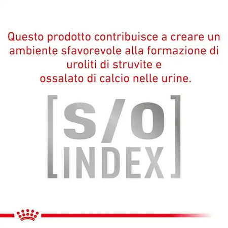 Royal Canin Hypoallergenic Small Dogs Croccantini per Cani Adulti