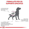 Royal Canin Early Renal Croccantini per Cani Adulti