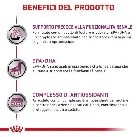 Royal Canin Early Renal Croccantini per Cani Adulti