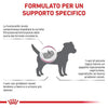 Royal Canin Renal Small Dog Croccantini per Cani Adulti
