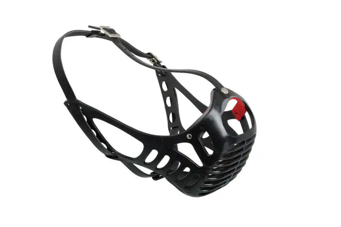 Museruola in Plastica Speciale per Boxer per Cani Camon