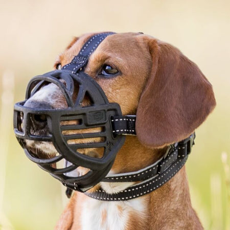 Museruola Muzzle Flex per Cani Trixie