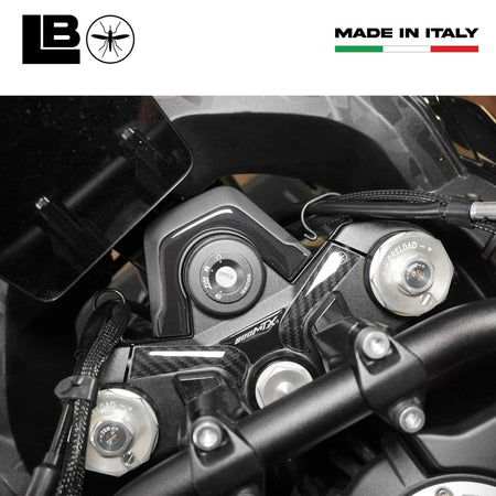 Protezione Piastra Forcella moto Adesivo 3D compatibile con CFMoto 800MT-X 2025