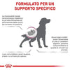 Royal Canin Renal Special Croccantini per Cani Adulti