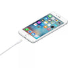 CAVO LIGHTNING A USB 1M APPLE MXLY2ZM/A