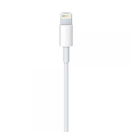 APPLE CAVO LIGHTNING A USB 1 MT (MXLY2ZM/A)