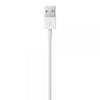 APPLE CAVO LIGHTNING A USB 1 MT (MXLY2ZM/A)