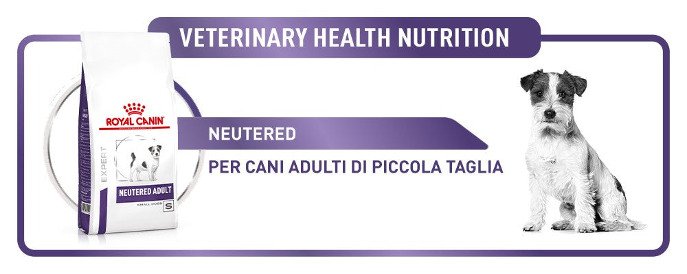 Royal Canin Neutered Adult Small Dogs Croccantini per Cani Adulti