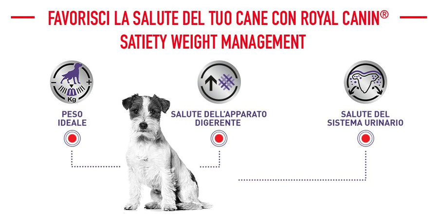 Royal Canin Neutered Adult Small Dogs Croccantini per Cani Adulti