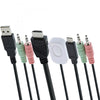 Switch KVM InLine - a 2 vie - USB-C + da HDMI a HDMI - 4K - con audio - integrato. Cavo