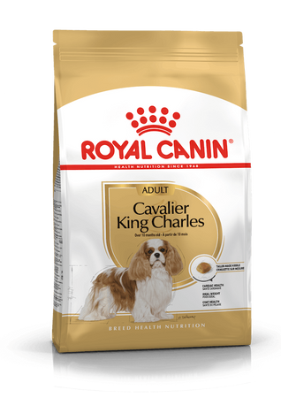 Royal Canin Cavalier King Charles Adult Croccantini per Cani Adulti
