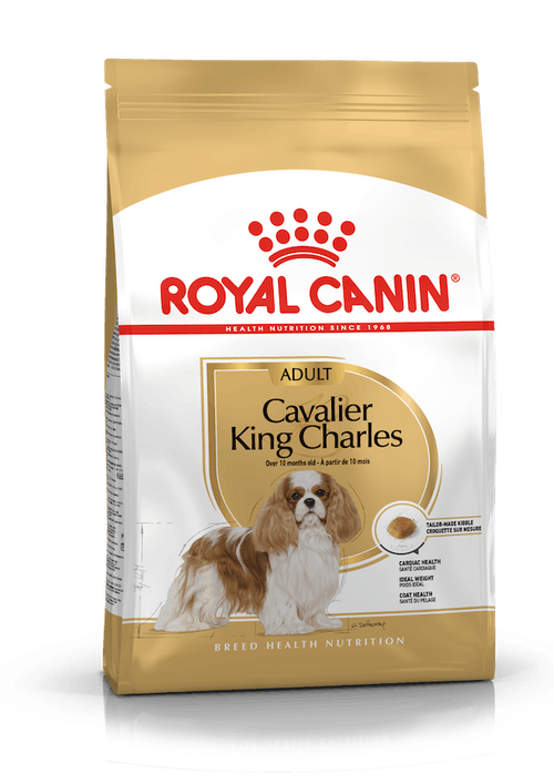 Royal Canin Cavalier King Charles Adult Croccantini per Cani Adulti