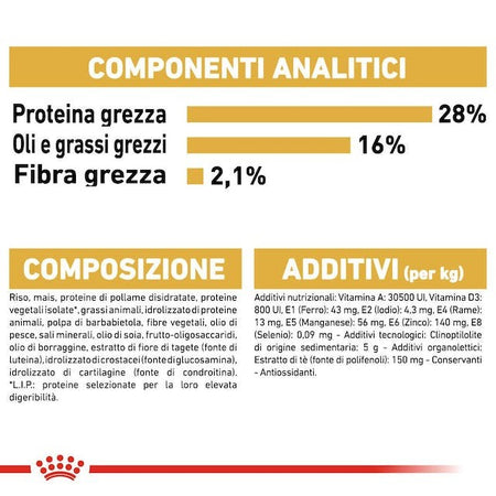 Royal Canin Chihuahua Adult Croccantini per Cani Adulti