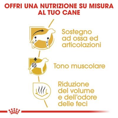 Royal Canin Dachshund Adult Croccantini per Cani Adulti