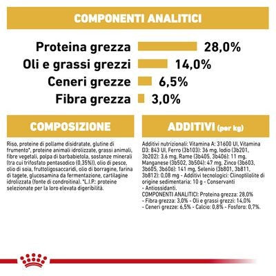 Royal Canin Dachshund Adult Croccantini per Cani Adulti