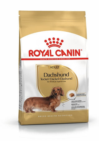 Royal Canin Dachshund Adult Croccantini per Cani Adulti