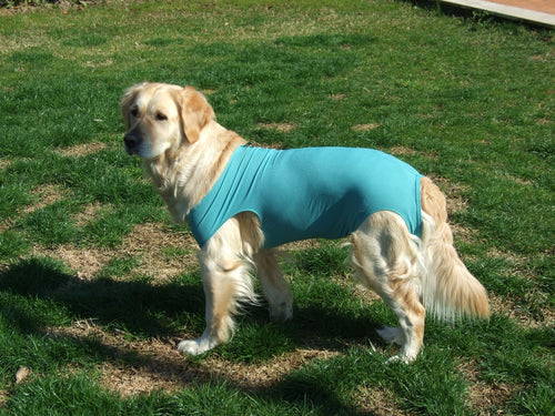 Body Veterinario Post Operatorio per cani