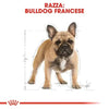 Royal Canin Bulldog Francese Adult Croccantini per Cani Adulti
