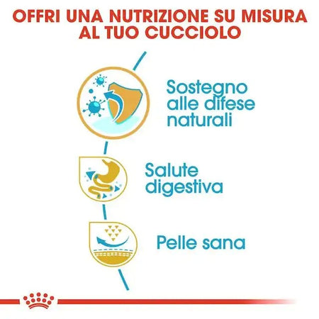 Royal Canin Bulldog Francese Puppy Croccantini per Cani Cuccioli