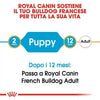Royal Canin Bulldog Francese Puppy Croccantini per Cani Cuccioli