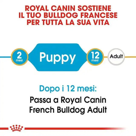 Royal Canin Bulldog Francese Puppy Croccantini per Cani Cuccioli