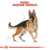 Royal Canin Pastore Tedesco Adult Croccantini per Cani Adulti