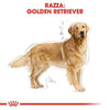 Royal Canin Golden Retriever Adult Croccantini per Cani Adulti