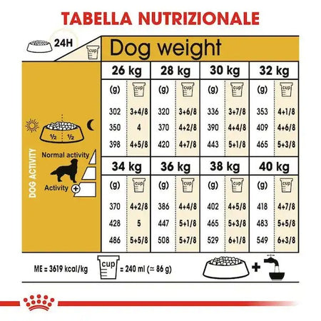 Royal Canin Golden Retriever Adult Croccantini per Cani Adulti