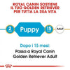 Royal Canin Golden Retriever Puppy Croccantini per Cani Cuccioli