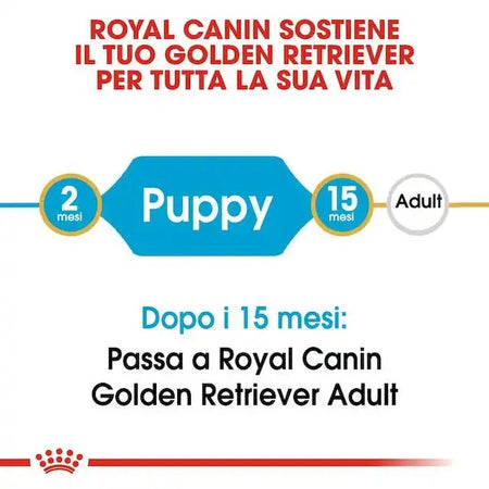 Royal Canin Golden Retriever Puppy Croccantini per Cani Cuccioli