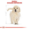 Royal Canin Golden Retriever Puppy Croccantini per Cani Cuccioli