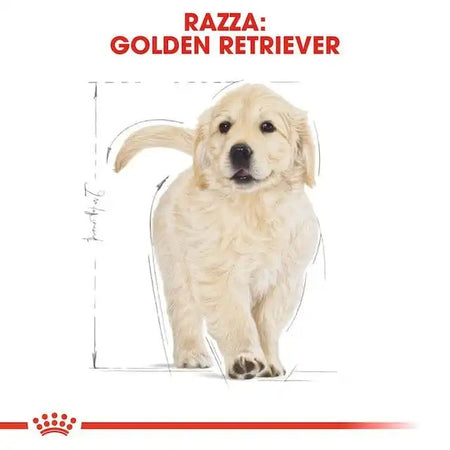 Royal Canin Golden Retriever Puppy Croccantini per Cani Cuccioli