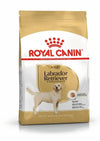 Royal Canin Labrador Retriever Adult Croccantini per Cani Adulti