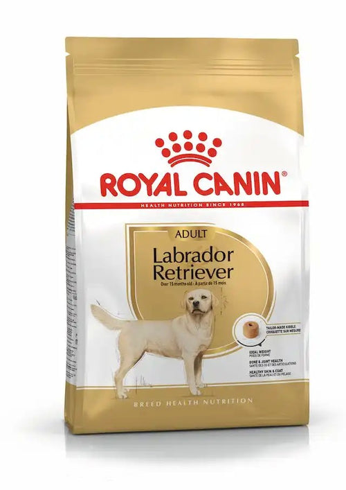 Royal Canin Labrador Retriever Adult Croccantini per Cani Adulti