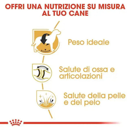 Royal Canin Labrador Retriever Adult Croccantini per Cani Adulti