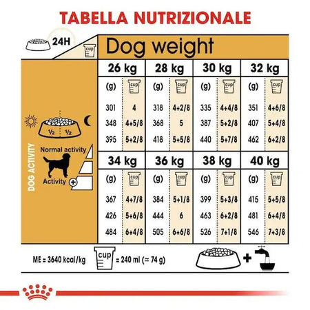 Royal Canin Labrador Retriever Adult Croccantini per Cani Adulti