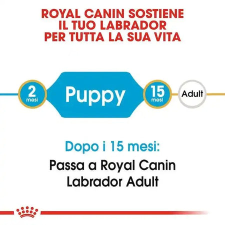 Royal Canin Labrador Retriever Puppy Croccantini per Cani Cuccioli