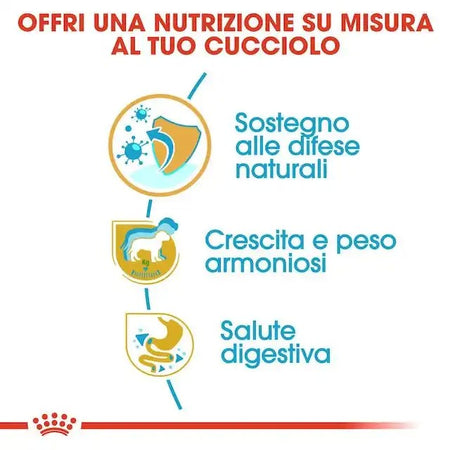 Royal Canin Labrador Retriever Puppy Croccantini per Cani Cuccioli