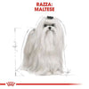 Royal Canin Maltese Adult Croccantini per Cani Adulti