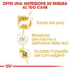 Royal Canin Maltese Adult Croccantini per Cani Adulti