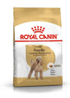 Royal Canin Barboncino Adult Croccantini per Cani Adulti