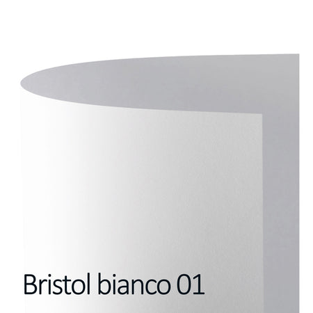 Conf.10 Cartoncino Bristol Color 200Gr 100X70Cm Bianco 01 Favini