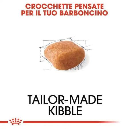 Royal Canin Barboncino Adult Croccantini per Cani Adulti